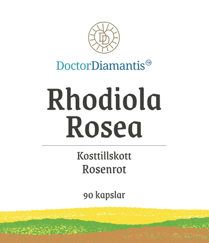 Rhodiola Rosea - Rosenrot